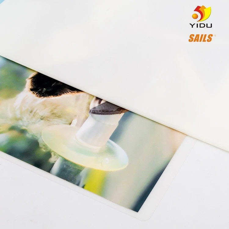 Matt Film Lamination best Matt Film Lamination best